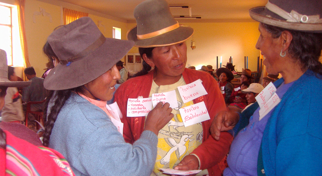 acciones de extension