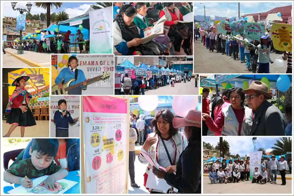 collageSBV